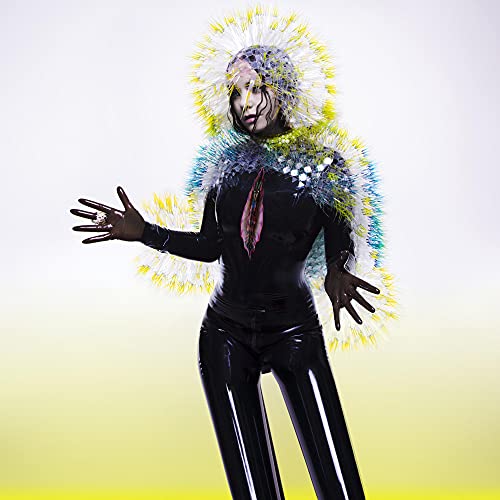 Vulnicura - 2015