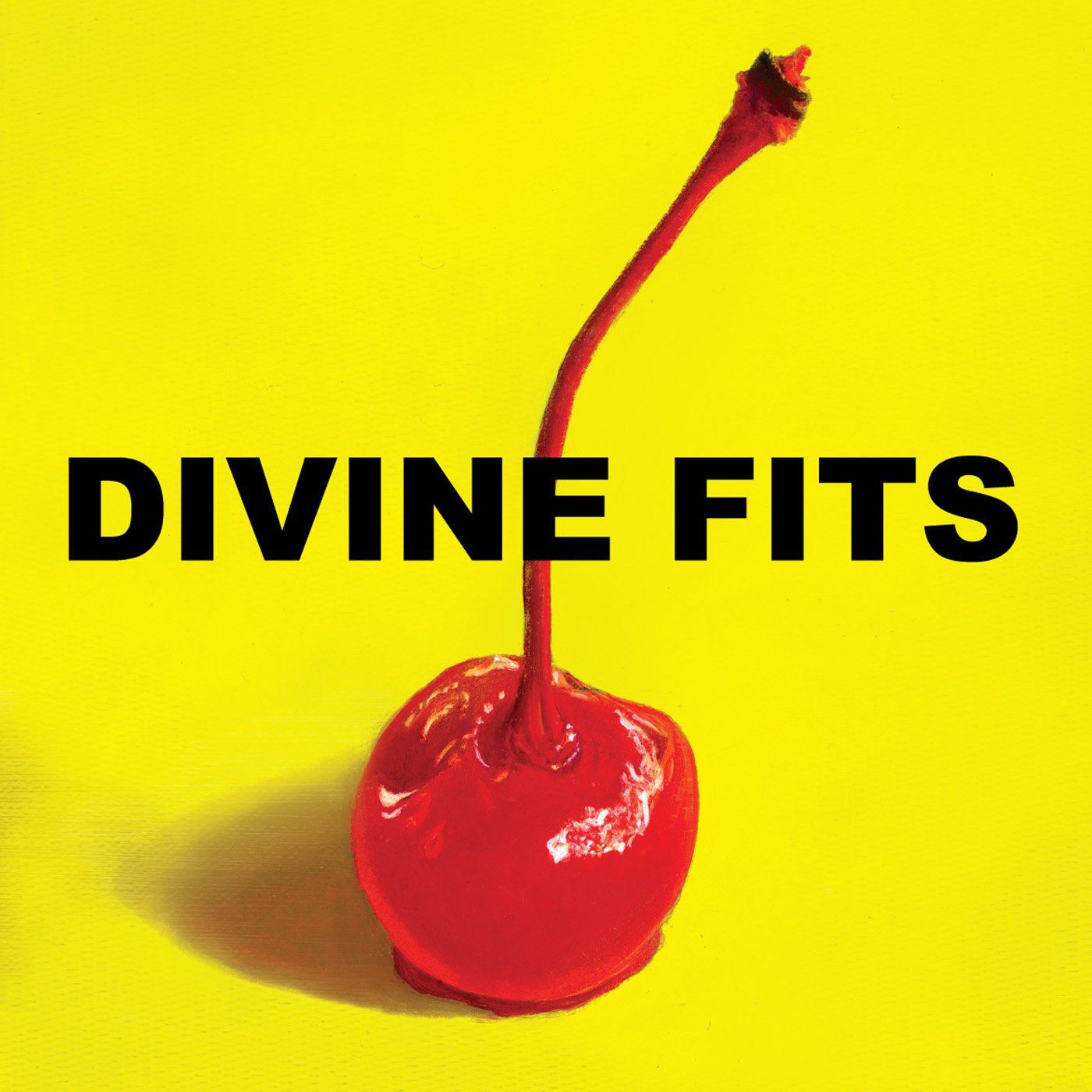 Divine Fits - 2012